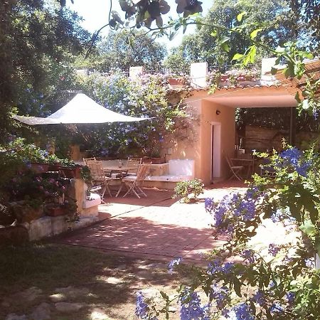 B&B Le Corti Di Aloa San Pantaleo Dış mekan fotoğraf
