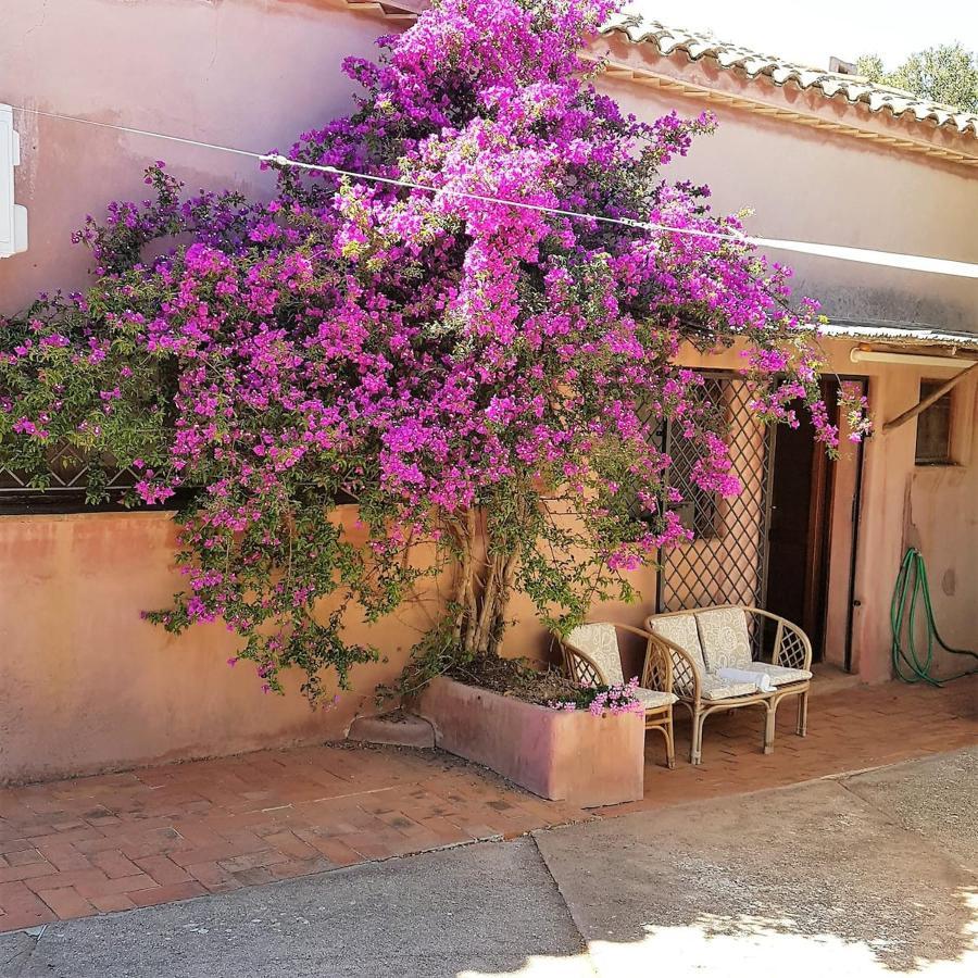 B&B Le Corti Di Aloa San Pantaleo Dış mekan fotoğraf