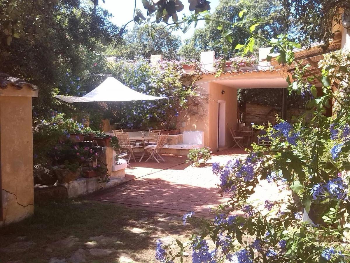 B&B Le Corti Di Aloa San Pantaleo Dış mekan fotoğraf