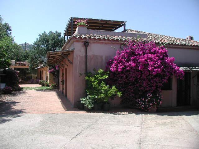 B&B Le Corti Di Aloa San Pantaleo Dış mekan fotoğraf