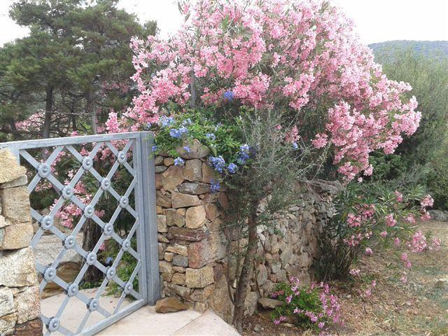 B&B Le Corti Di Aloa San Pantaleo Dış mekan fotoğraf